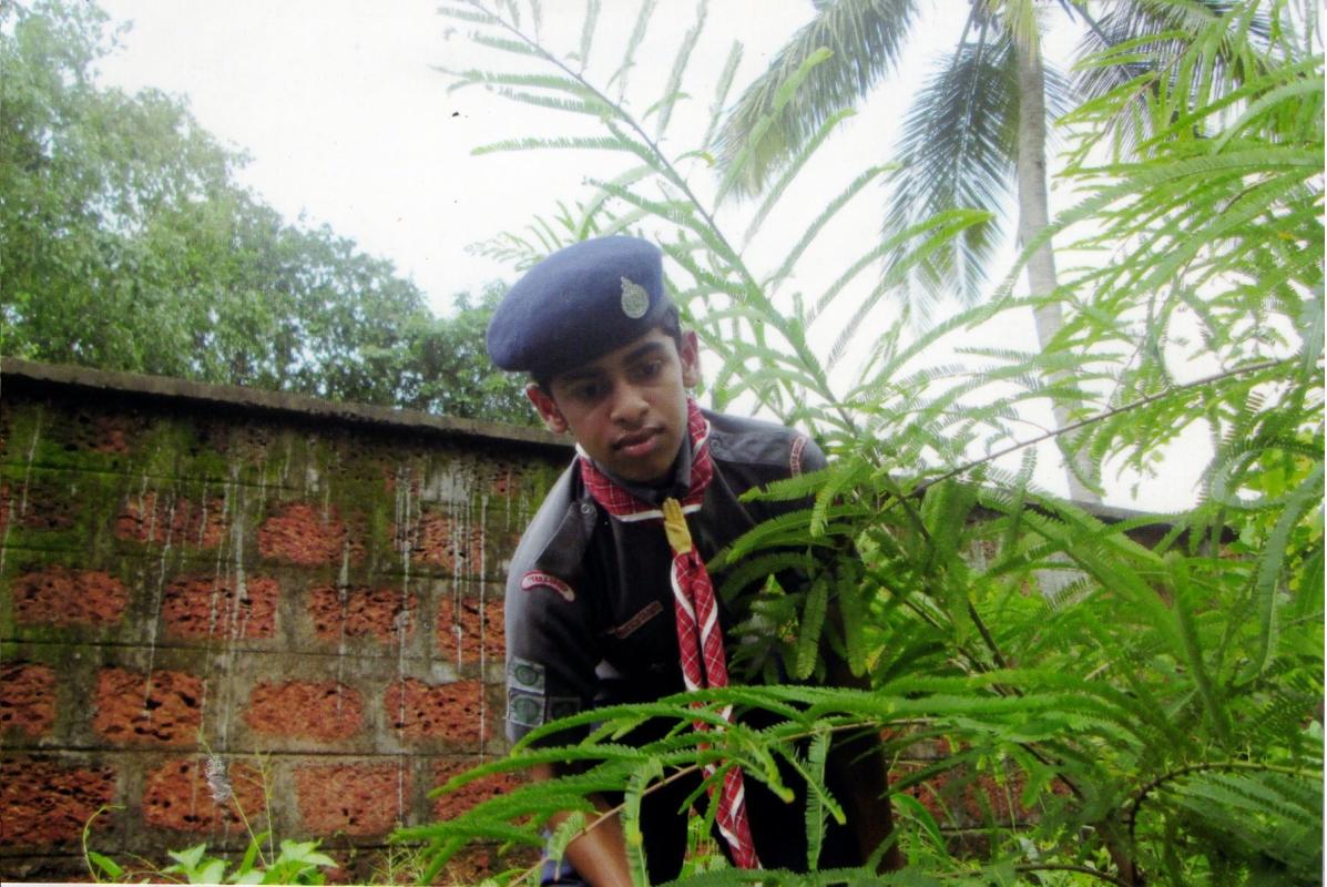 PRESERVATION OF GREENARY 