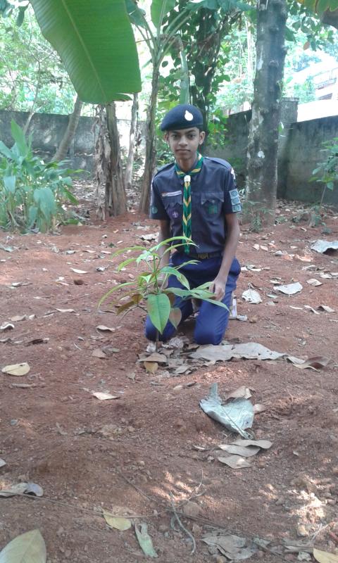 PRESERVATION OF GREENARY 