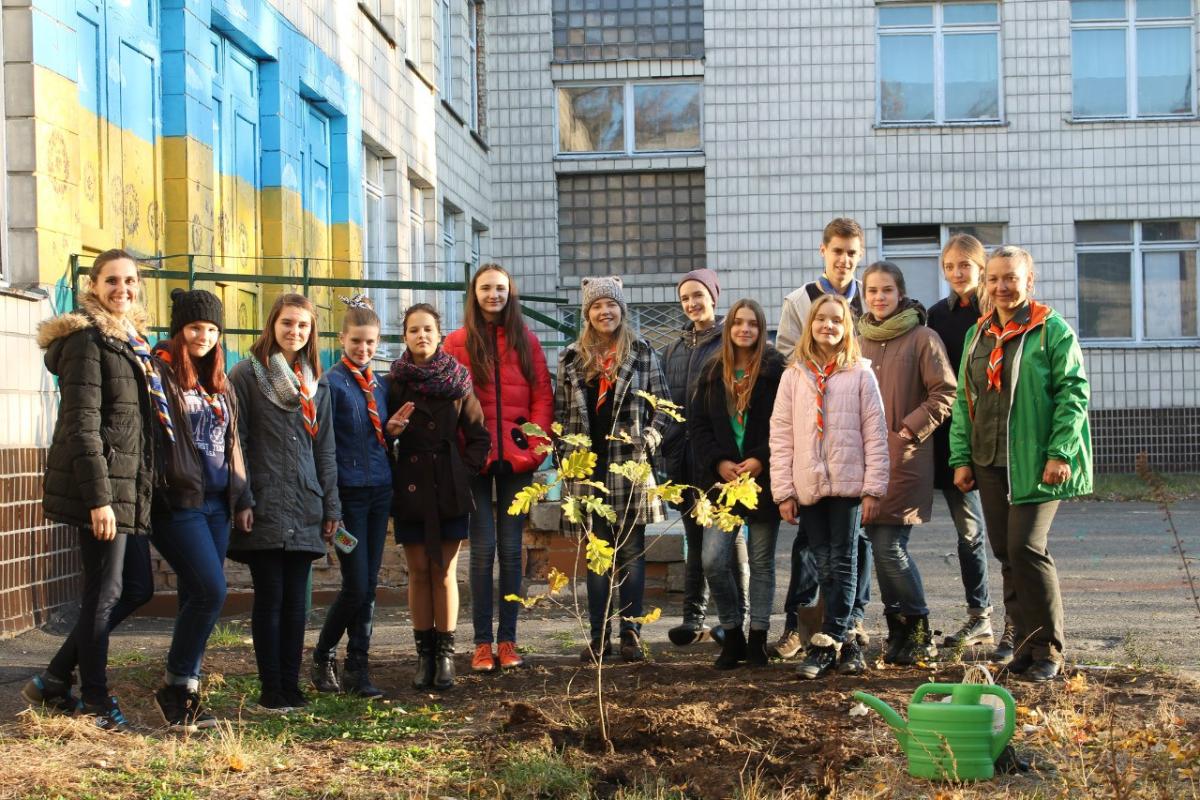 Planting trees in school with Scouts