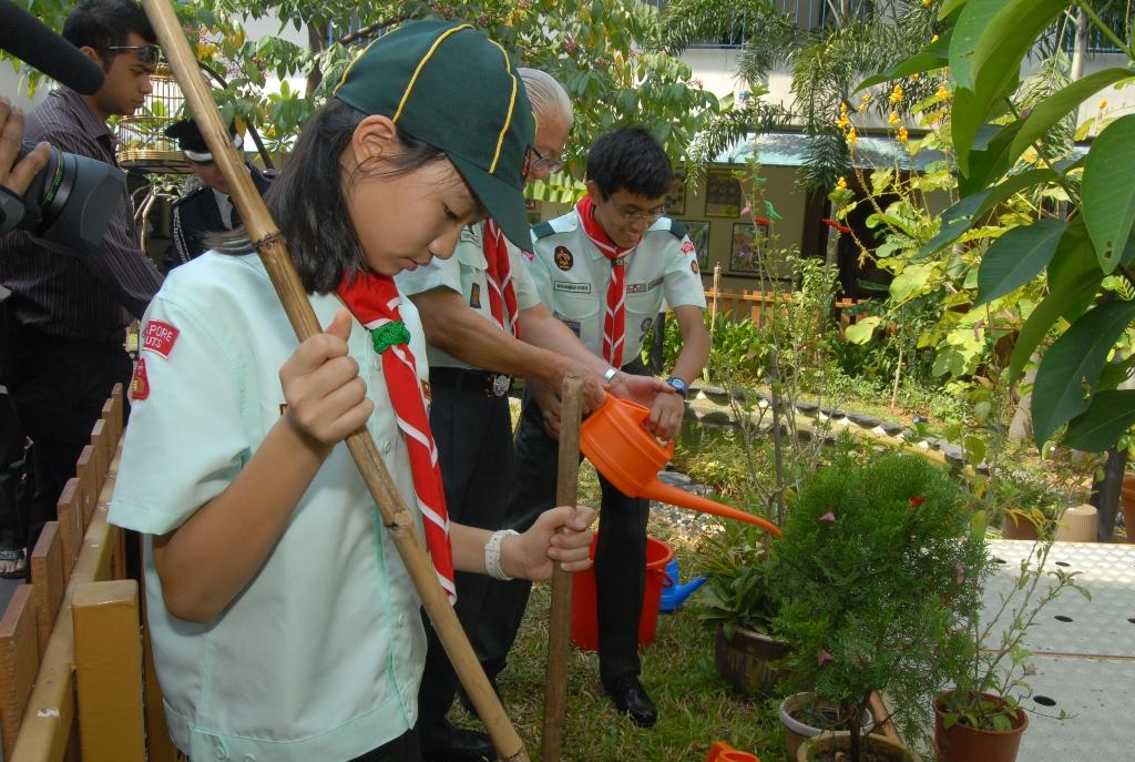 Jobweek - Scout All Around Singapore Go Out To Work To Help Others