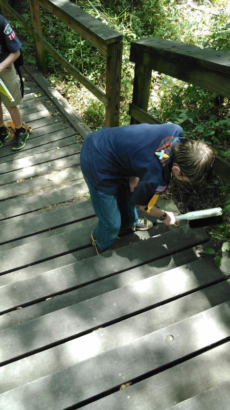 Making Woodland Stairs Safer for Visitors