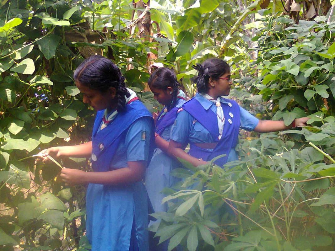 COMMUNITY DEVELOPMENT