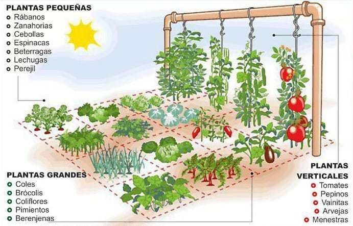 Huerto Urbano