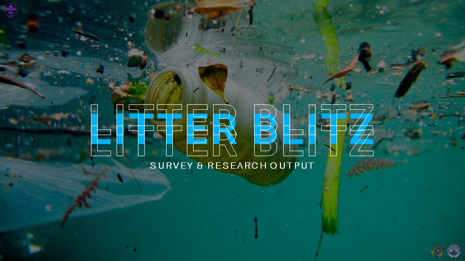 Litter Blitz Task: Survey & Research Output [TTPC]