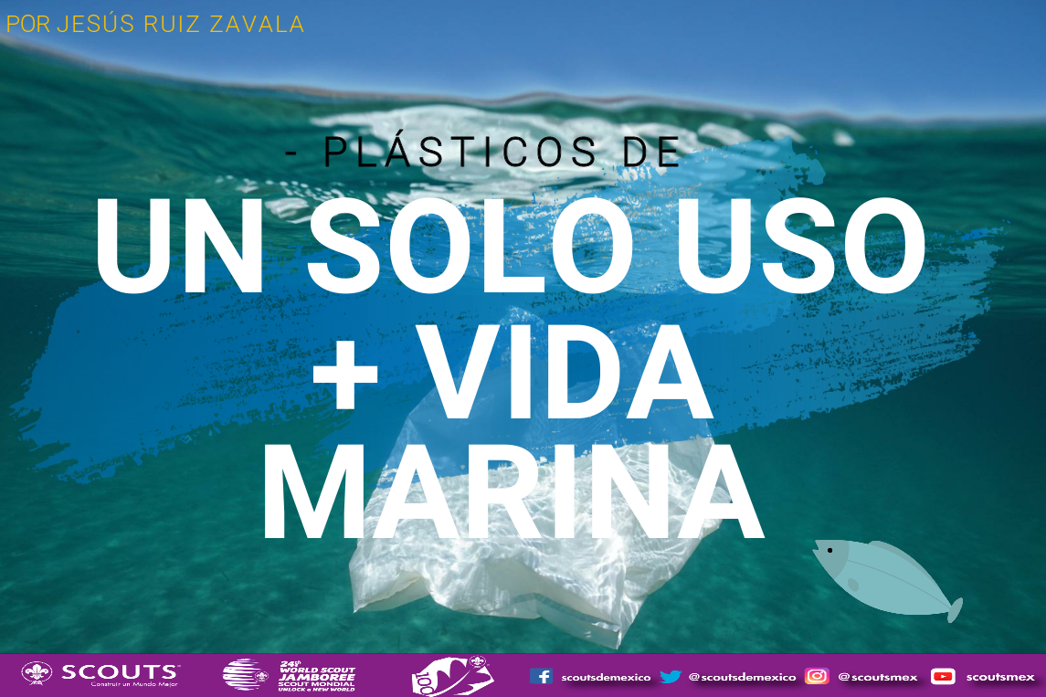 Mares Limpios BRONCE