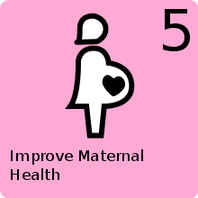 Six Months Community Development Project (Improve Maternal Health )