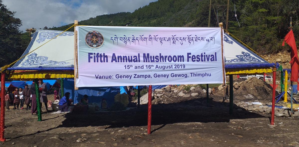 cleaning campaign at Annual Mushroom festival