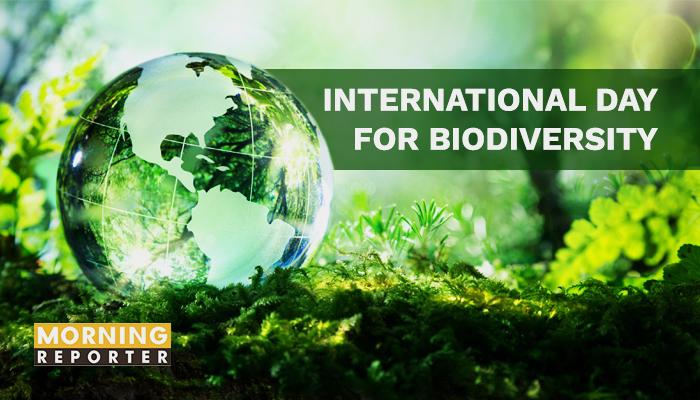 विश्व जैव विविधता दिवस पर पशु पक्षियों के चुग्गा दाना और परिंडे लगाए ।