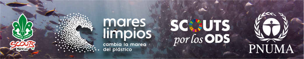 MARES LIMPIOS