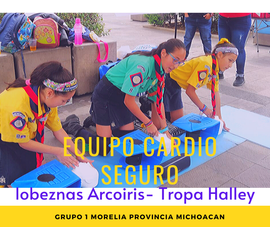 EQUIPO CARDIO SEGURO