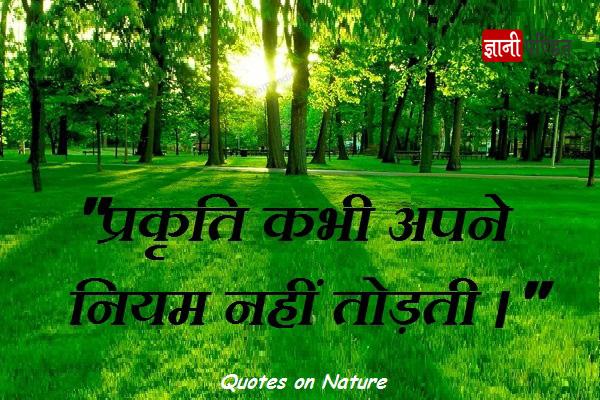 Love For Nature