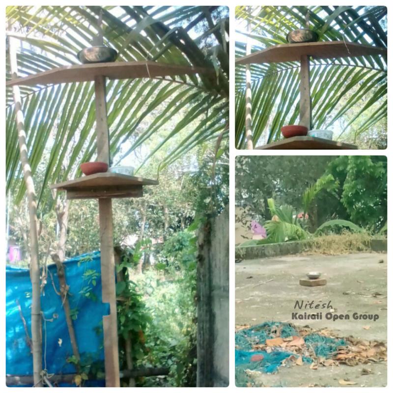 A Drop of water to Birds