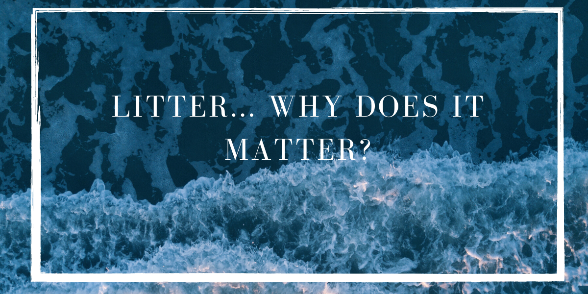 Litter... Why Does It Matter? (TTPC)