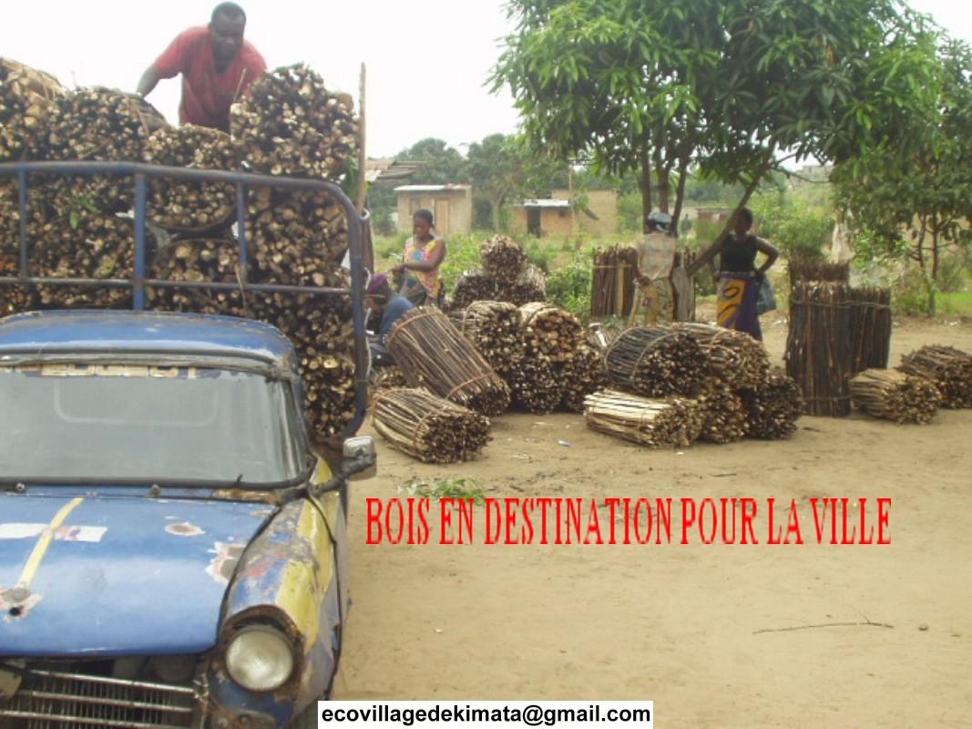 PROTECTION DE LA BIODIVERSITE