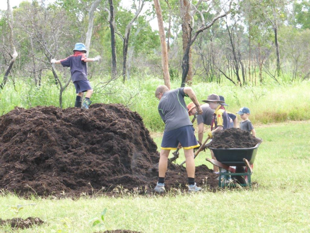 Tree Planting [ Townsville City Council]