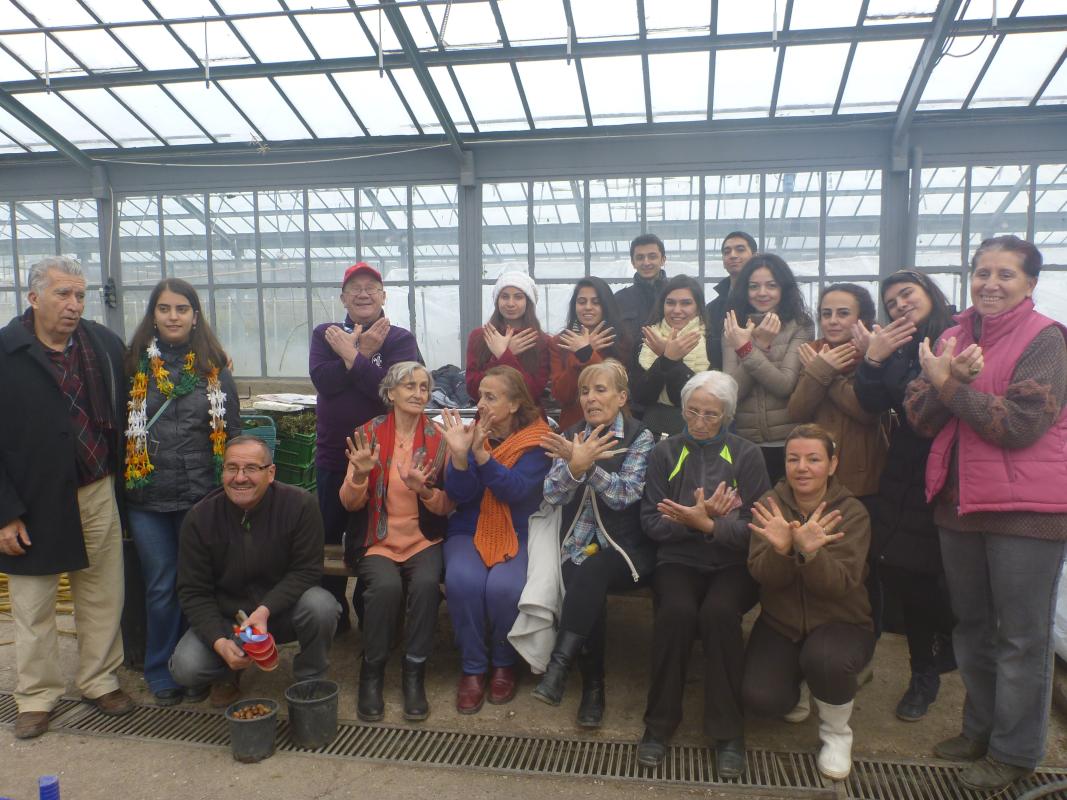 Hundreds of Acorns getting ready to became tree