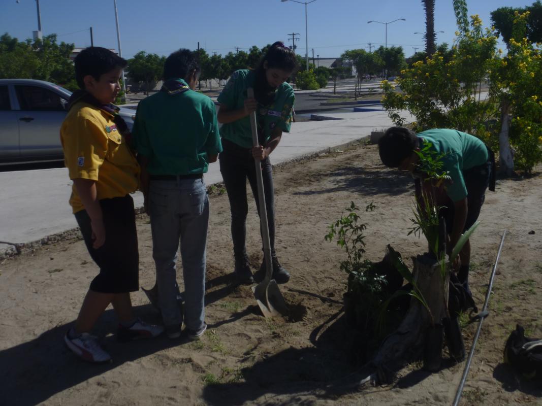 Educación Ambiental