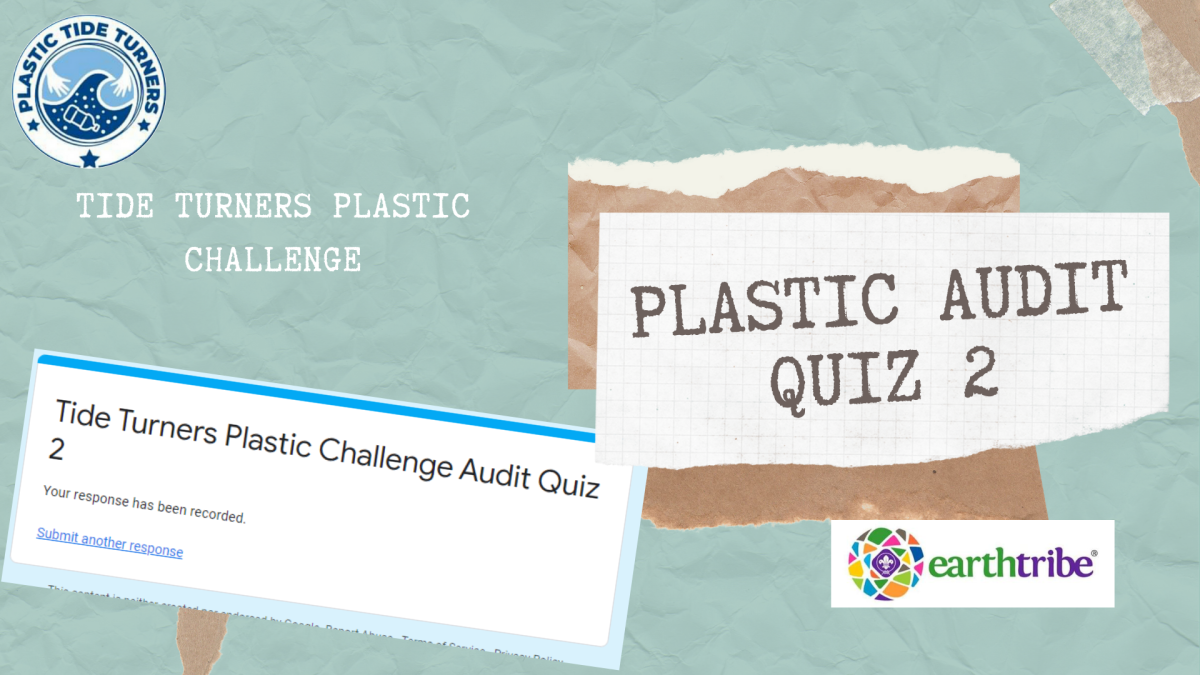 PLASTIC AUDIT QUIZ 2
