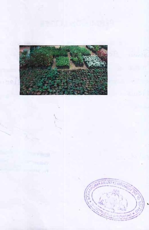 COMMUNITY DEVELOPMENT PROJECT