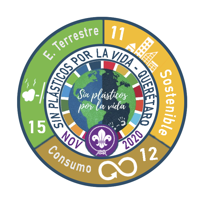 Sin Plásticos Por La Vida Querétaro 2020