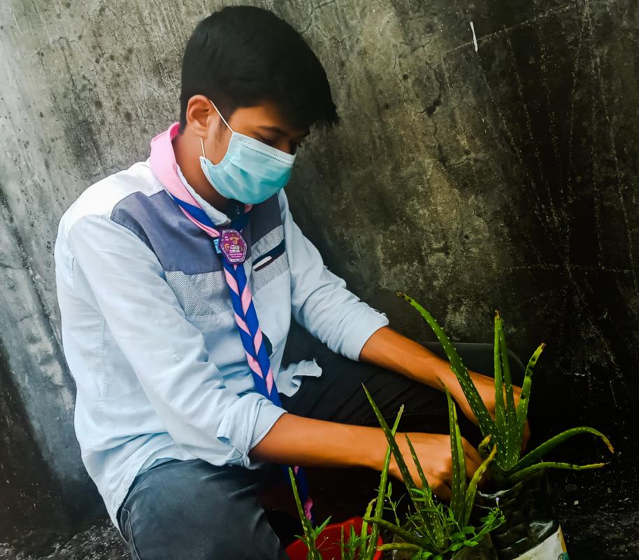Tree Plantation 2020