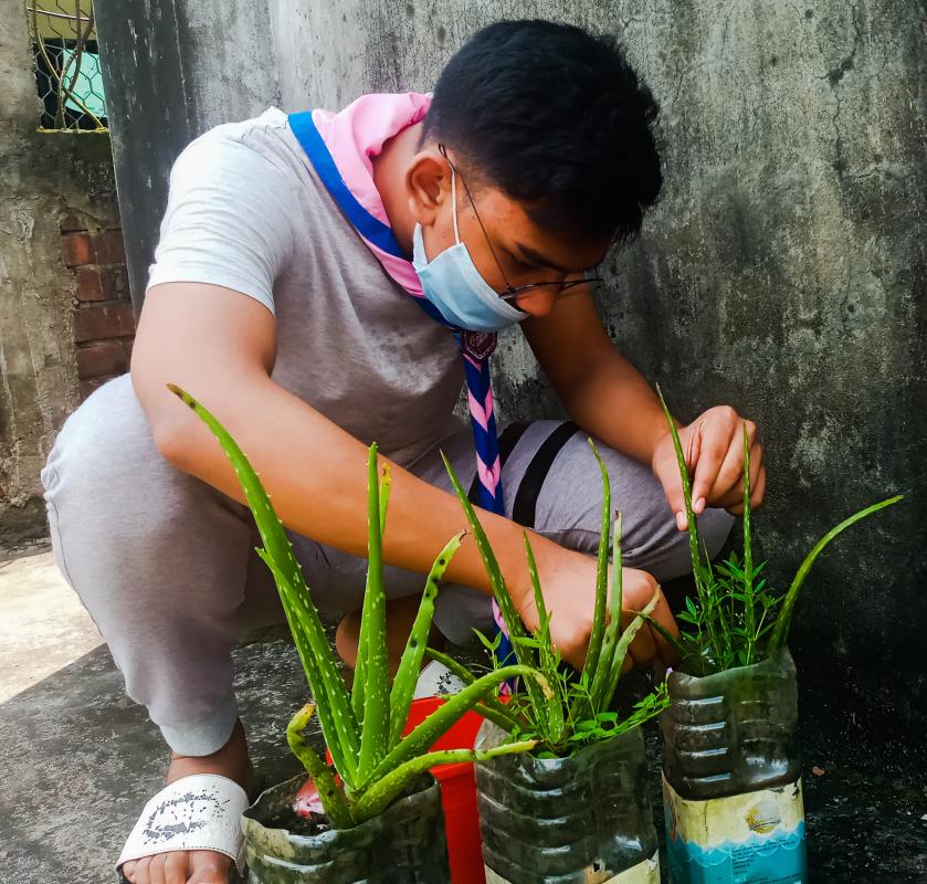 Tree Plantation At Home