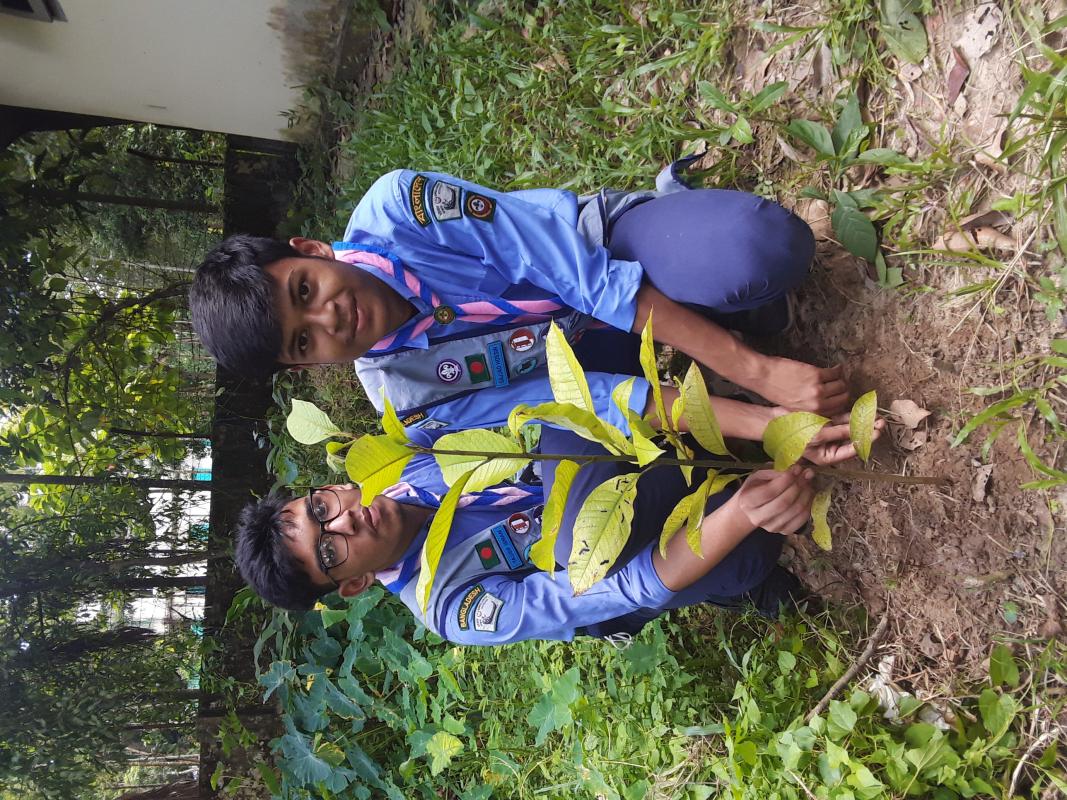 Tree Plantation on B.P Day