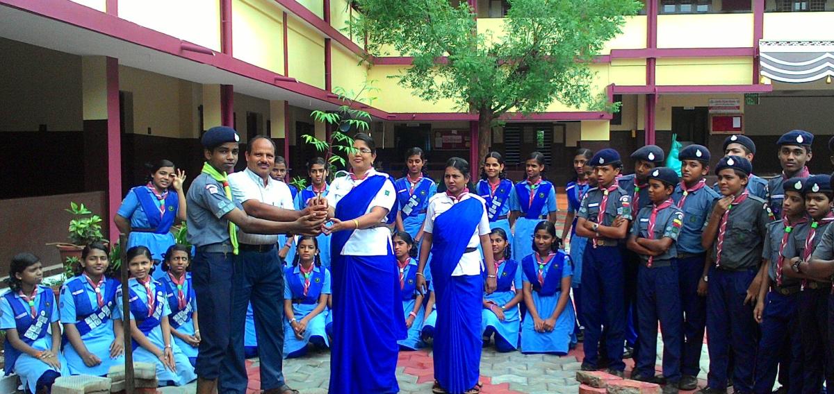 environmental day celebrations by scouts and guides