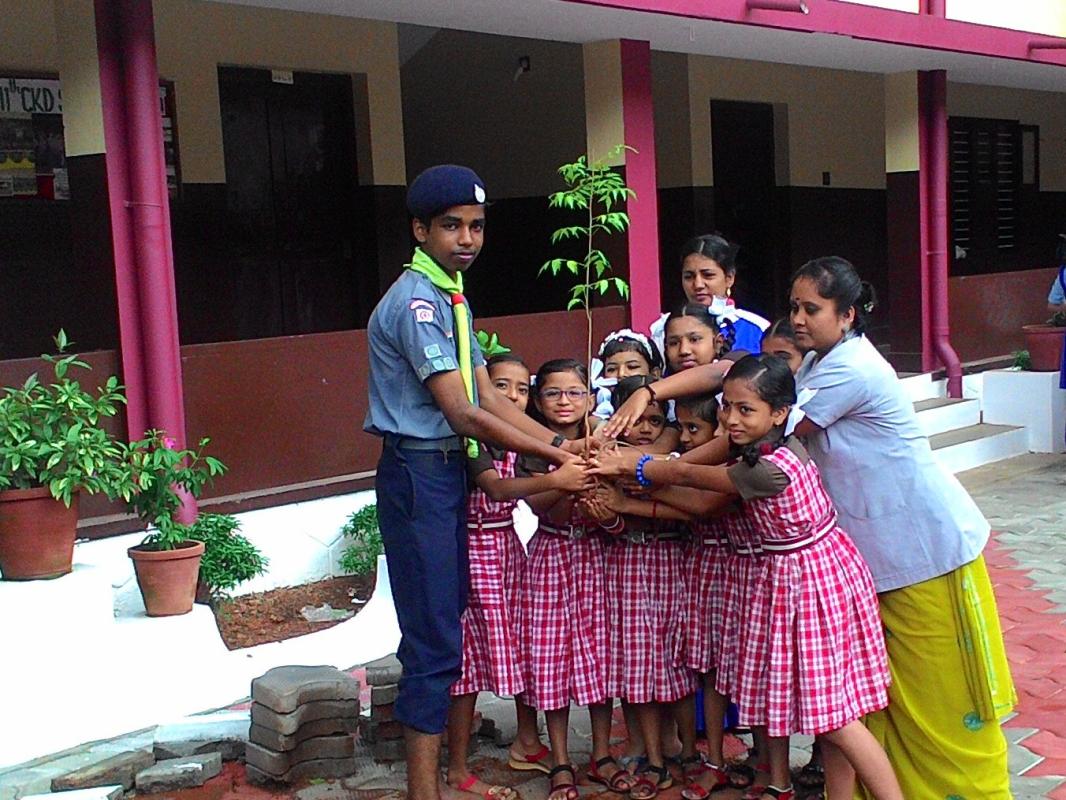 environmental day celebrations by cubs-bulbuls