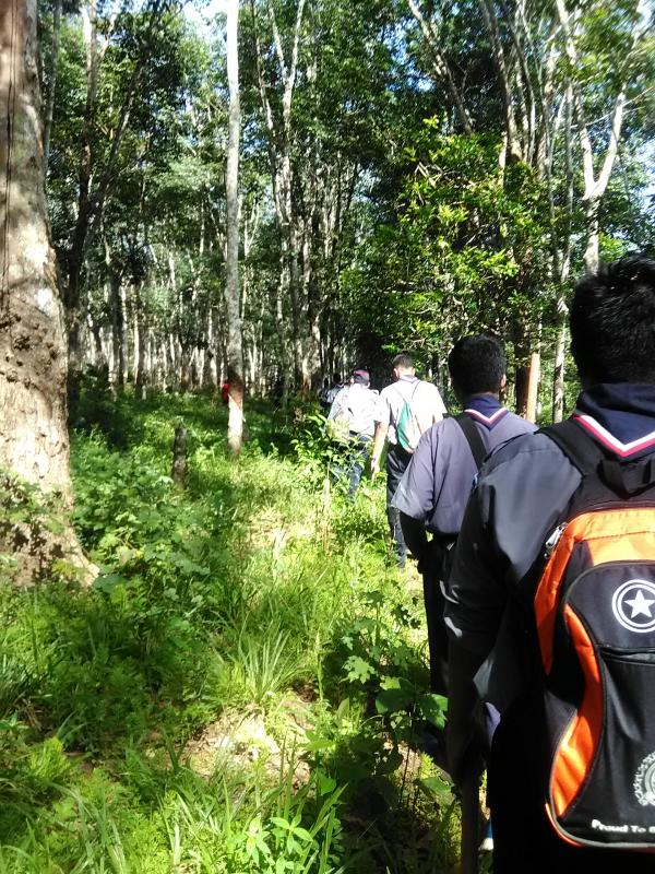 Kem di keplu kodiang