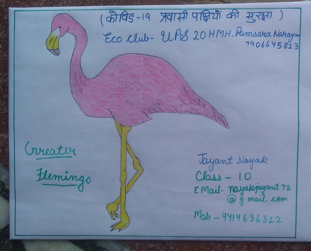 विश्व प्रवासी पक्षी दिवस