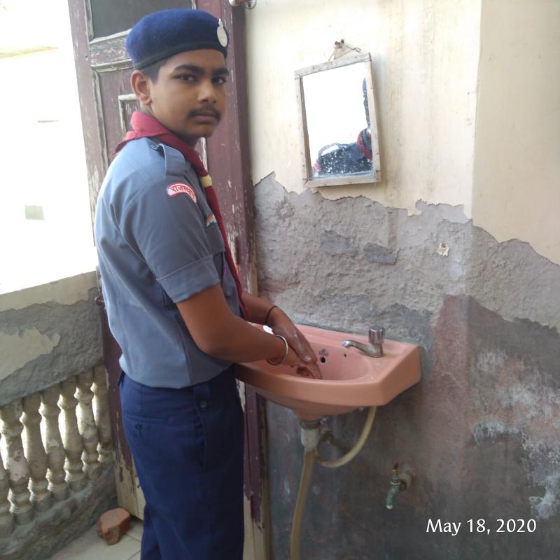 Clean India, Green India