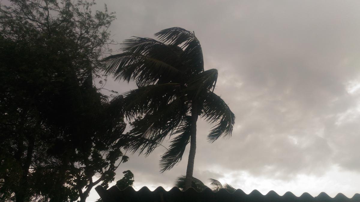 HELP THE YASH CYCLONE AFFECTED