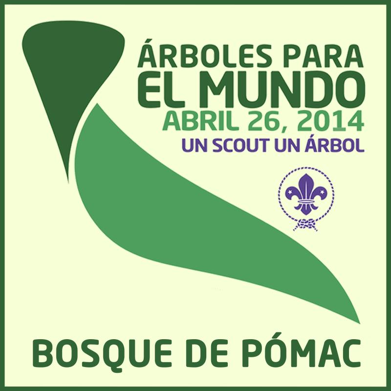 ÁRBOLES PARA EL MUNDO - Reforestación en Bosque de Pómac