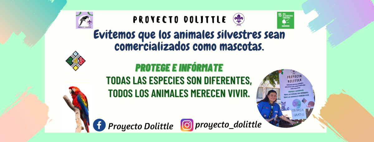 Proyecto Dolittle 