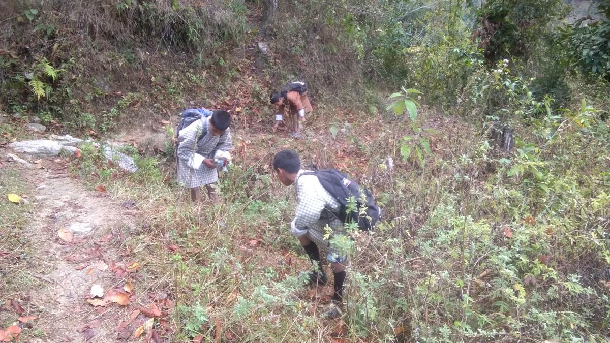 Adoption of community path