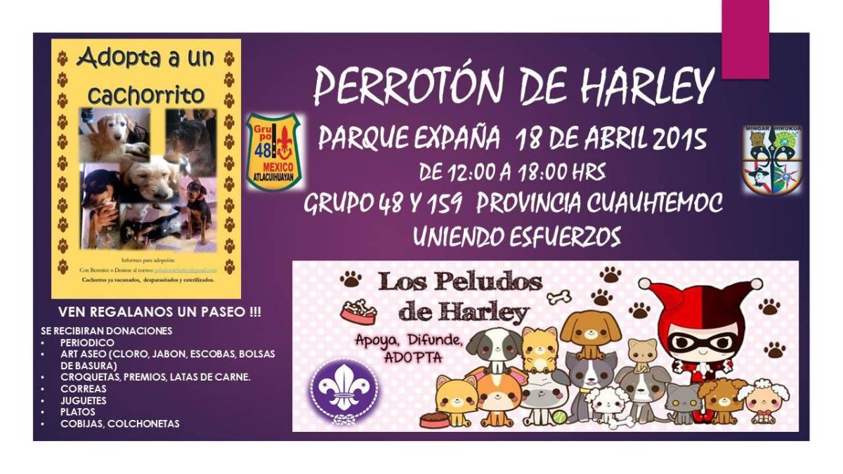 El Perroton de Harley