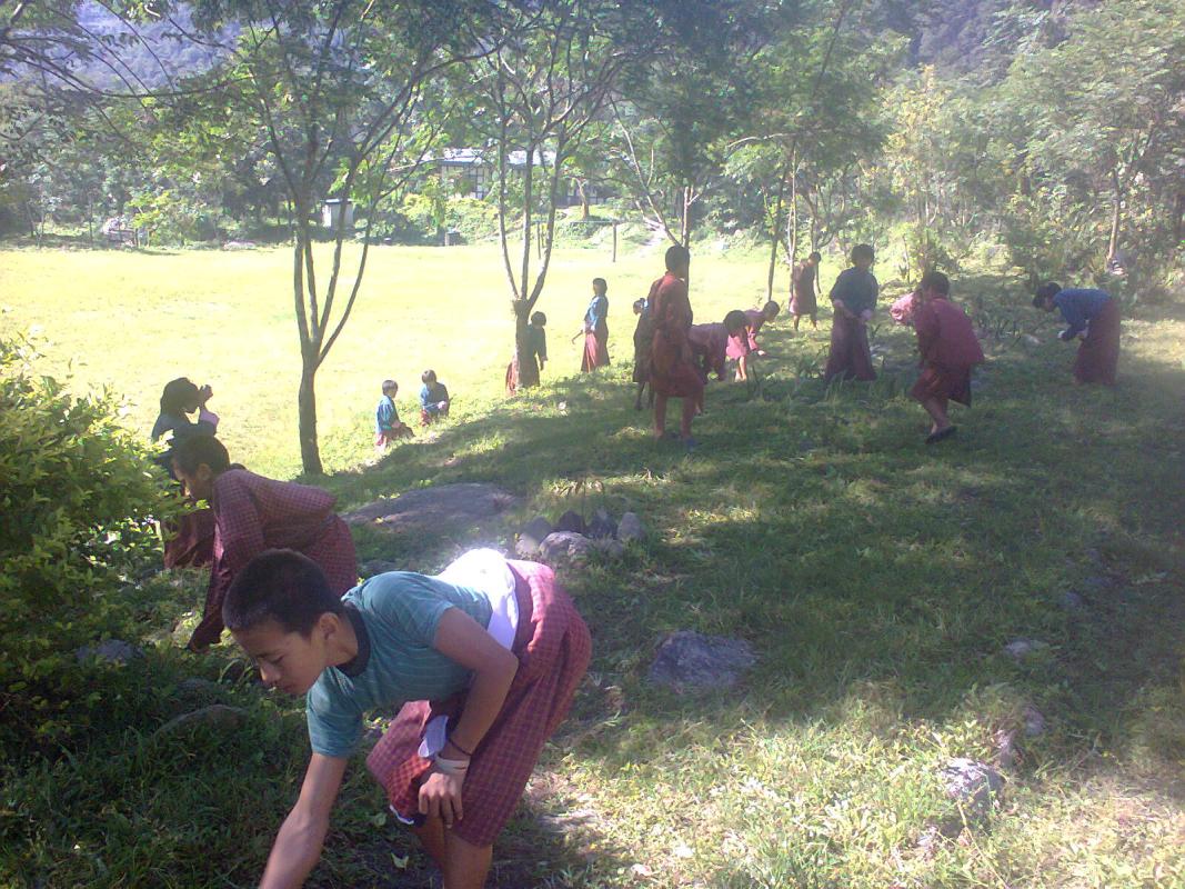 Making the school green and peace