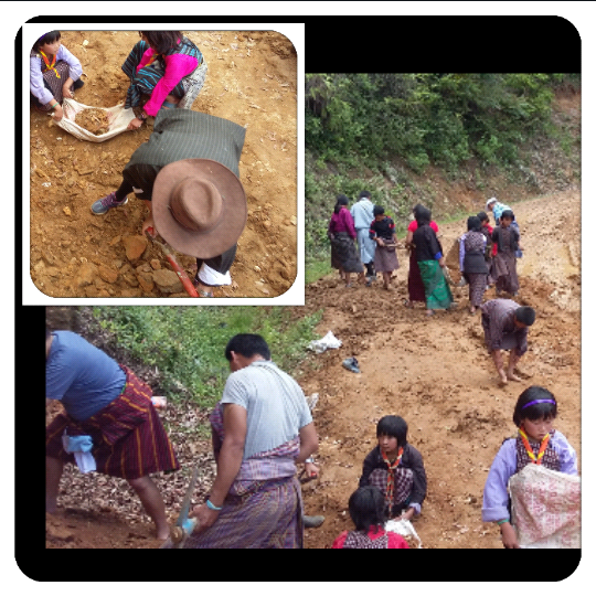 Volunteer service