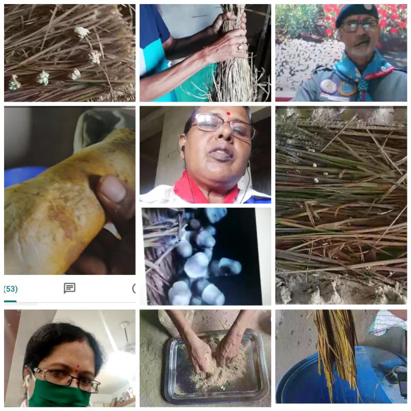 Atmanirbhar Bharat project 1 (Mushroom cultivation)