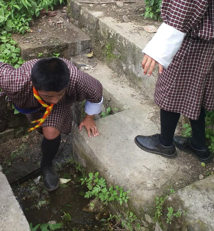 Mass Cleaning campaign 