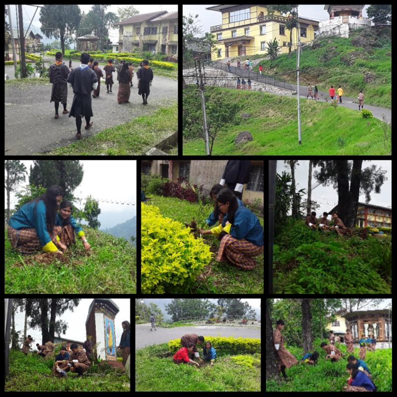 Social Foresty day