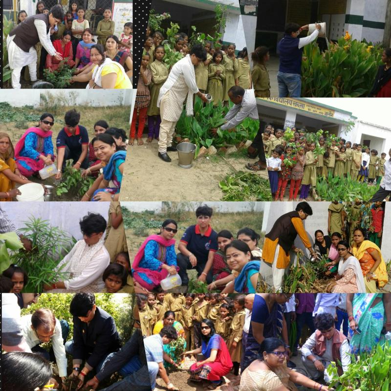 Plantation
