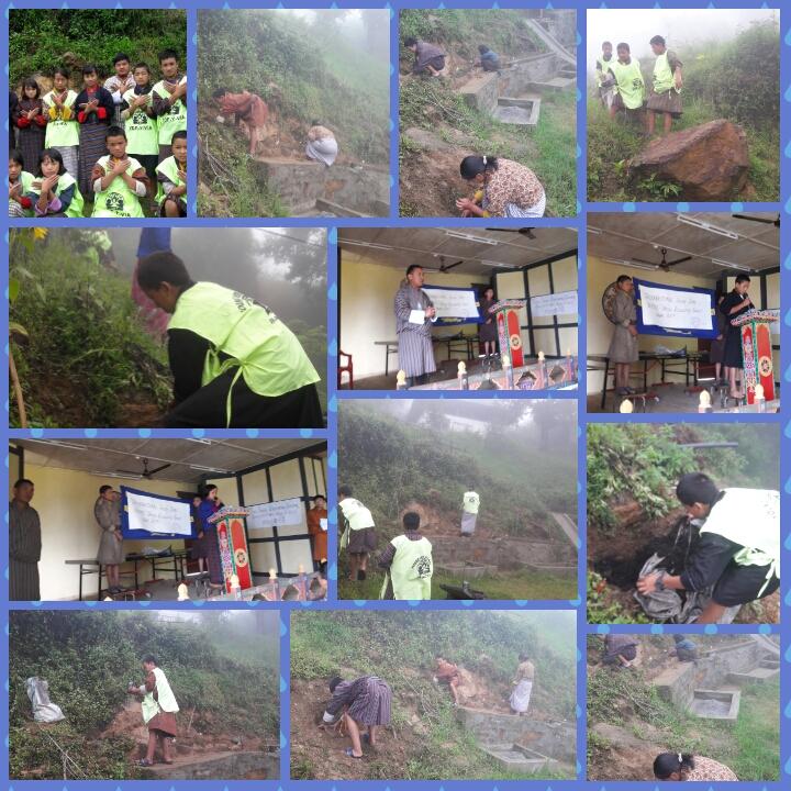 observing international youth day by planting bottle brush saplings in and around the ECCD centre.