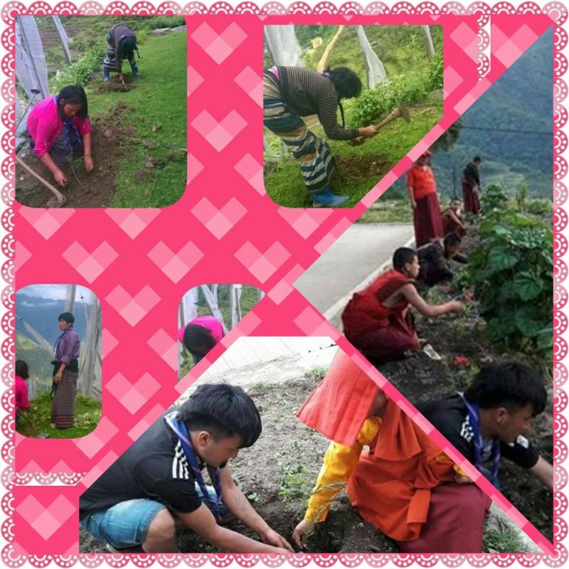 mark world environment day on the theme lend your hands to save the trees.