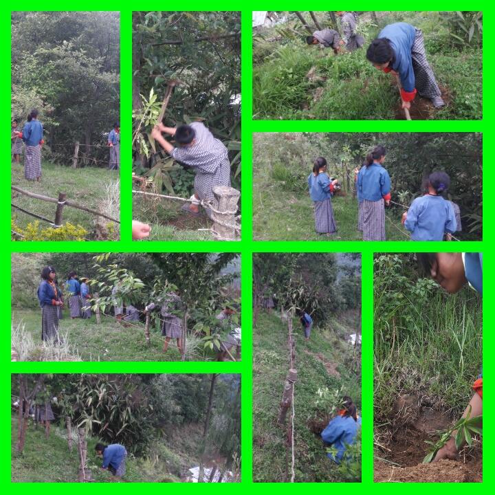 celebrates Gyeltshen's (Her Majesty's birthday)birthday by planting