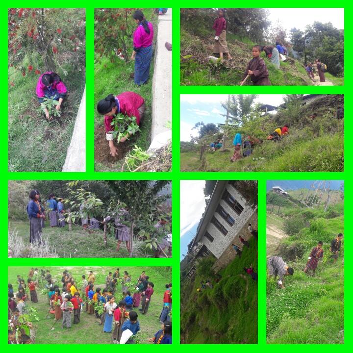 celebrate world environment day