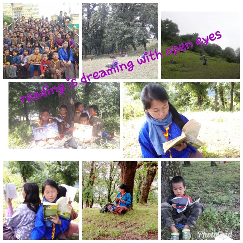 Reading Picnic