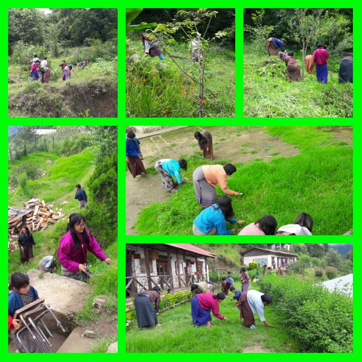 community partnership in school