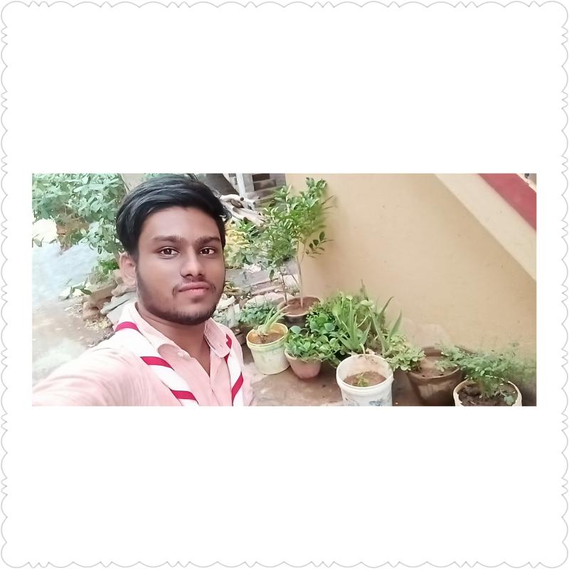 ⚜️Go-Organic⚜️